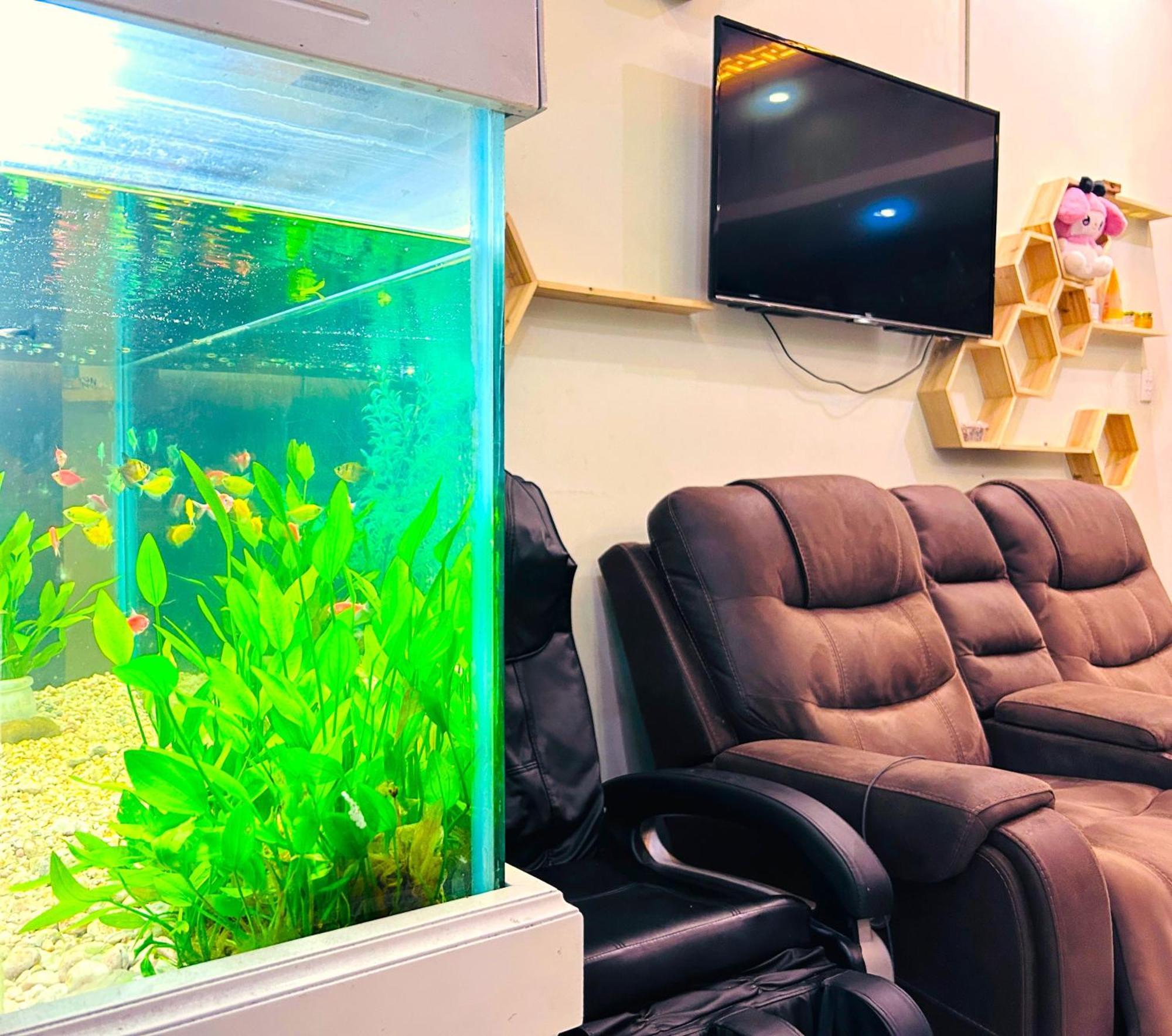 Tnh Hotel Vung Tau Esterno foto